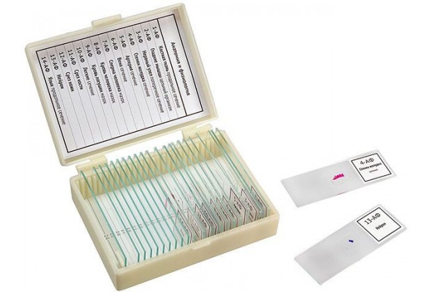 Набор препаратов "Анатомия и физиология" (14 обр.)