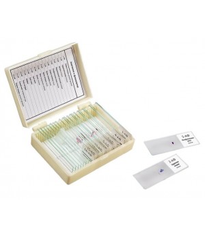 Набор препаратов "Анатомия и физиология" (16 обр. для школы)