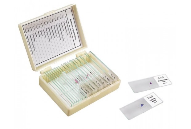 Набор препаратов "Анатомия и физиология" (16 обр. для школы)