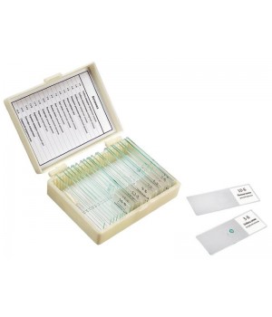 Набор препаратов "Ботаника" (16 обр. для школы)