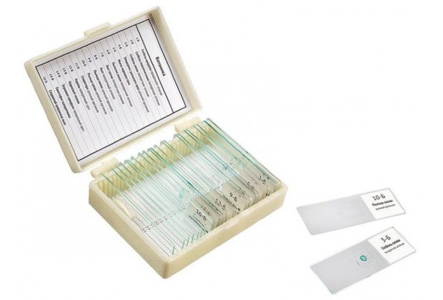 Набор препаратов "Ботаника" (16 обр. для школы)