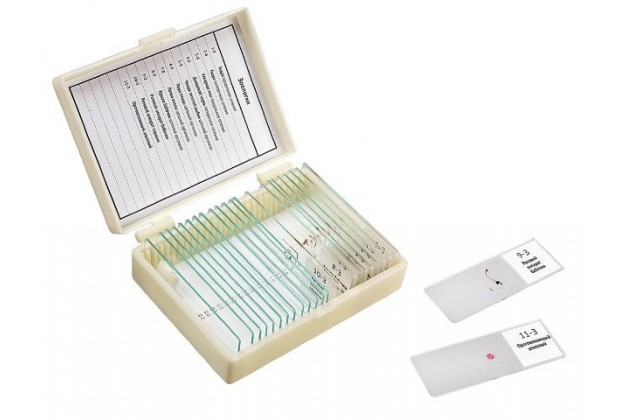 Набор препаратов "Зоология" (11 обр. для школы)