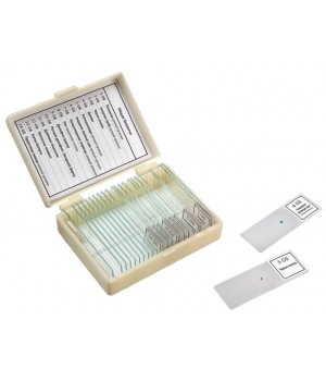 Набор препаратов "Общая биология" (14 обр.)