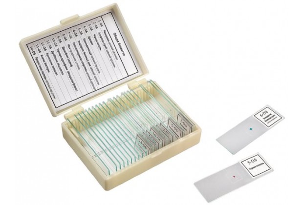 Набор препаратов "Общая биология" (14 обр.)