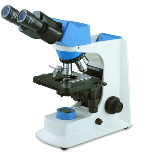 Микроскопы XS (Китай)